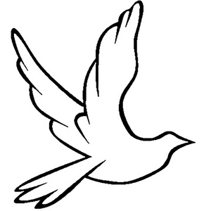 少妇欧美三级片
