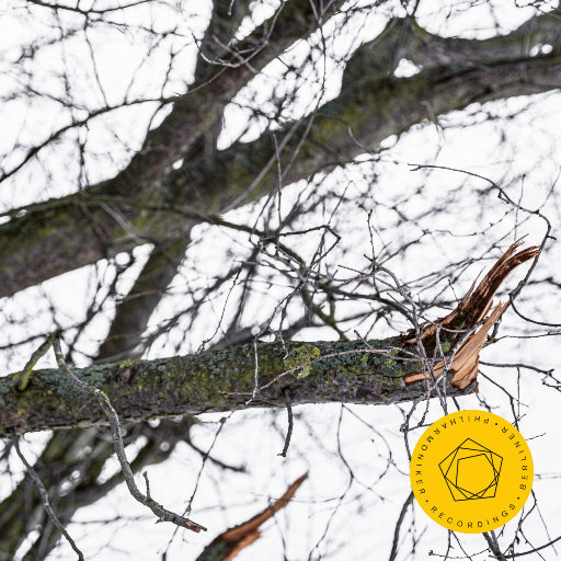 少妇欧美三级片
