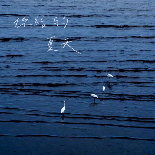 少妇欧美三级片
